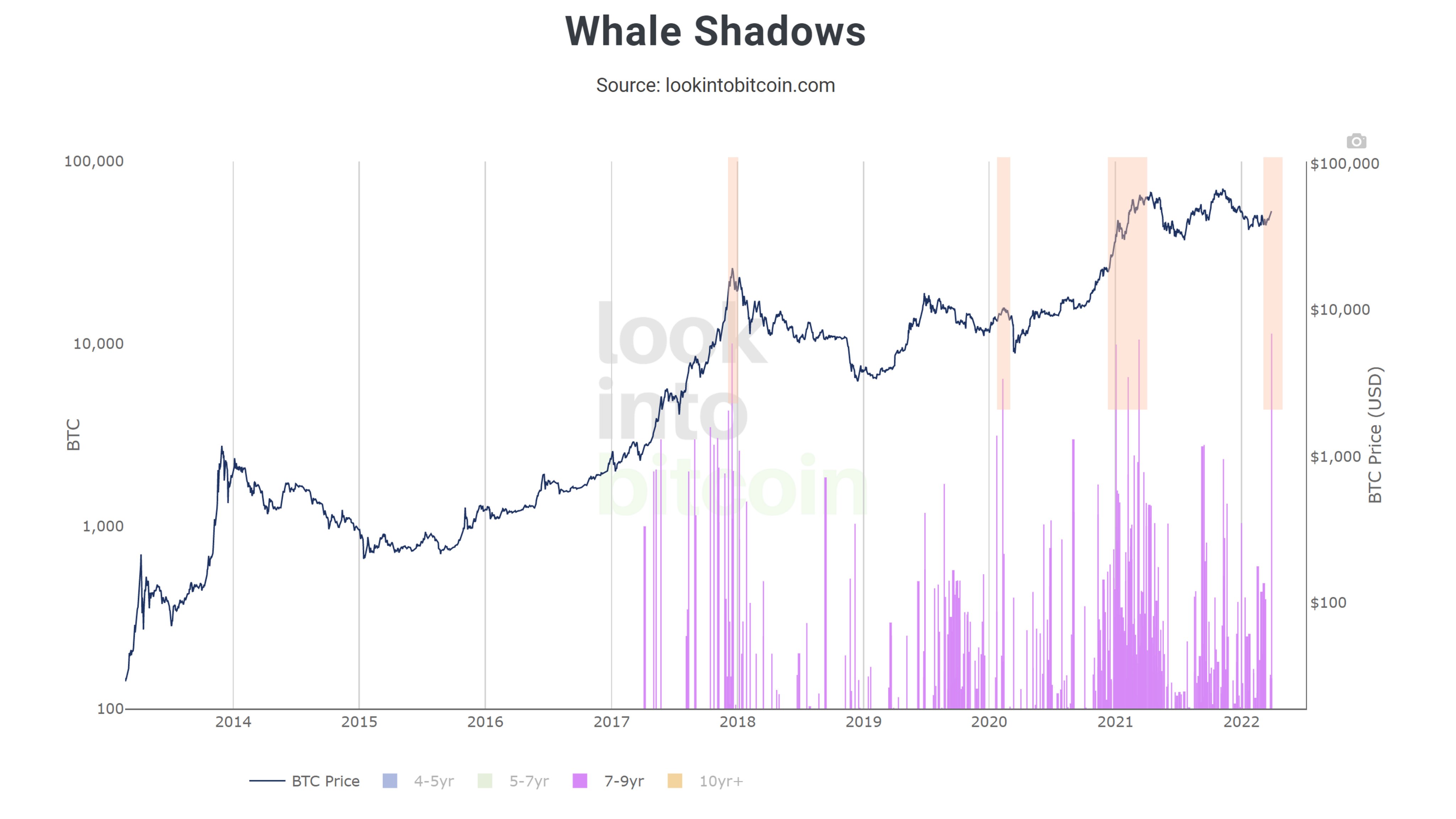 Market Research Report: Oil Sheds 10% on Biden’s Reserve Release, Stocks Flat While Altcoins Make Splashes - BTC Movement Age Band